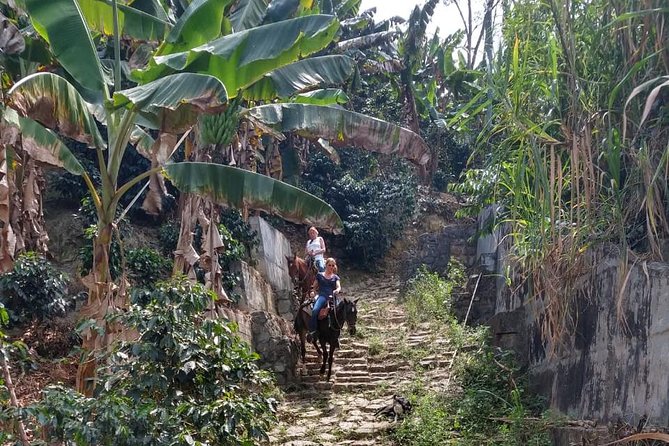 Horseback Riding Adventure from Medellin - Should you book this Medellín horseback riding adventure?