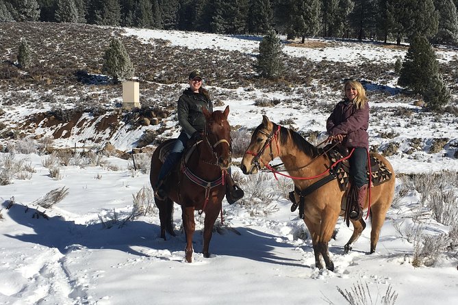 Horseback Riding Adventure from Reno - Pace, Group Size, and Fit for Your Body and Schedule
