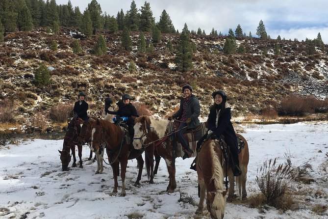 Horseback Riding Adventure from Reno - Price Check: Is $240 Worth It?