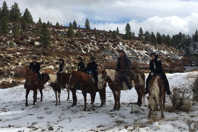 Horseback Riding Adventure from Reno - What to Pack (and What to Expect) for All-Weather Riding