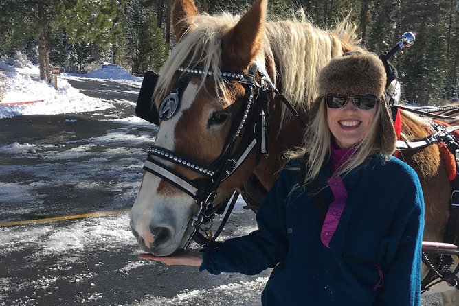 Horseback Riding Adventure from Reno - Who Should Book This Horseback Tour From Reno?
