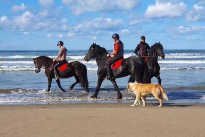Horseback Riding Adventure in Durrës for Experienced Riders - Durres Horseback Riding: Why This Area Makes Sense