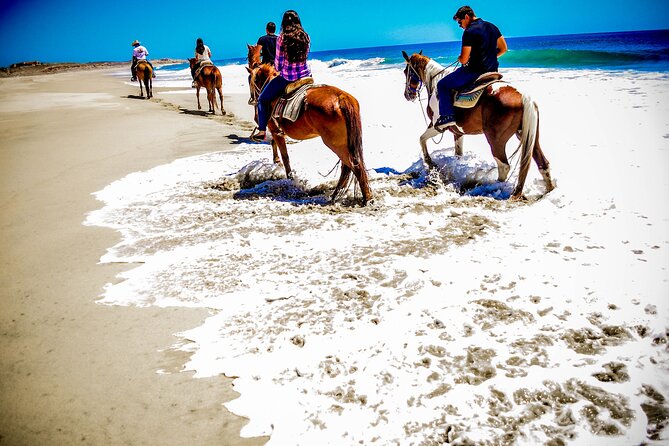 Horseback Riding Adventure in Playa Migriño with Tequila Tasting - The animals and the “calm ranch” feel
