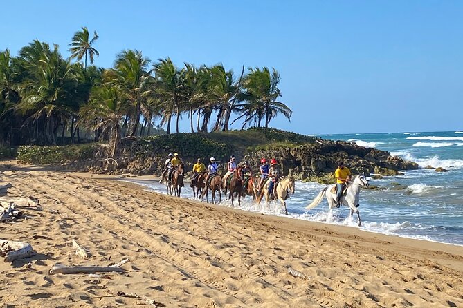 Horseback Riding Adventure Punta Cana - Key Highlights You’ll Actually Care About