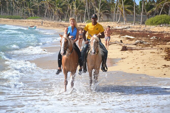 Horseback Riding Adventure Punta Cana - How Skill Level Gets Matched to Your Horse