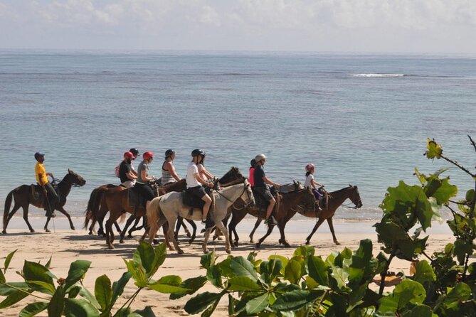 Horseback Riding Adventure Punta Cana - What You Actually Get On Tour (Beyond the Horse)