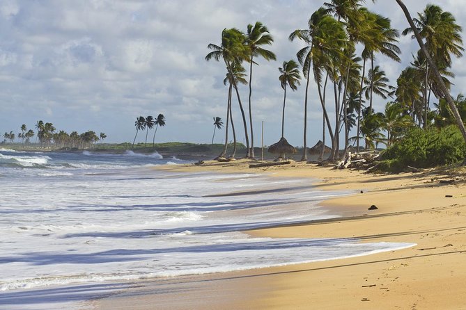 Horseback Riding Adventure Punta Cana - The Photo Moment: Included Rum Bottle vs. Optional Photo Packages