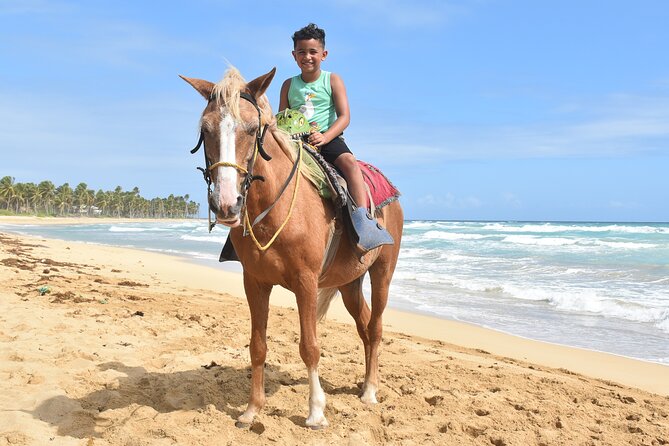 Horseback Riding Adventure Punta Cana - Animals and the Nature Angle (What You Might Spot)