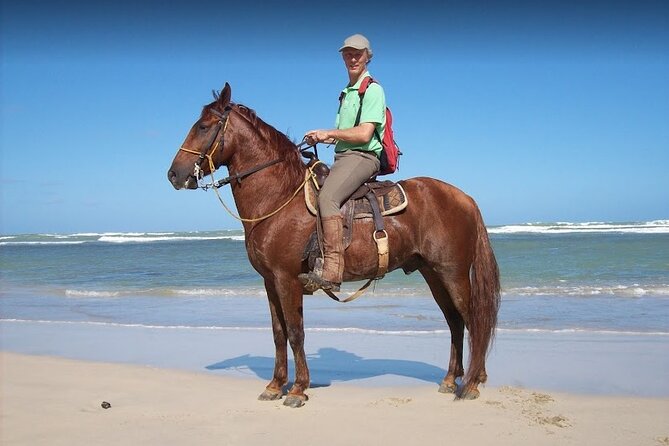 Horseback Riding Adventure Punta Cana - Timing and How the 2 Hours Really Feel