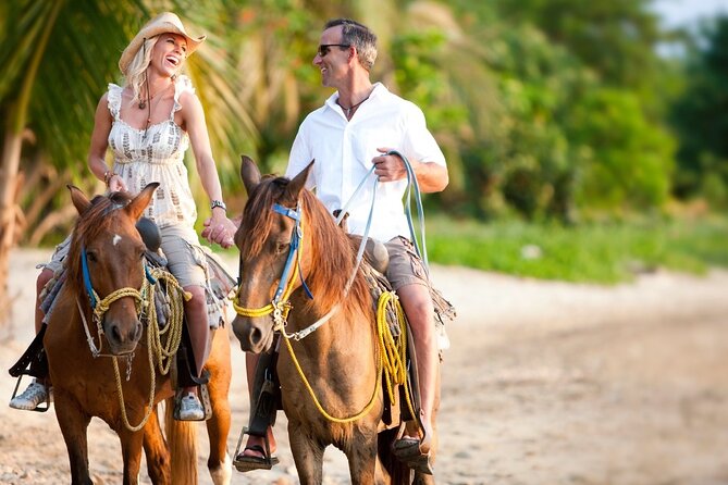 Horseback Riding Adventure to Macao Alto Beaches in Punta Cana - Key Highlights You’ll Feel Right Away