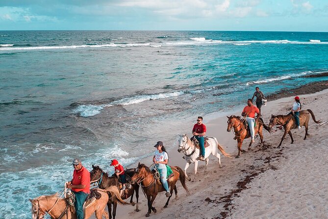 Horseback Riding Adventure to Macao Alto Beaches in Punta Cana - Getting There: Pickup, Ranch Arrival, and Your First Check-In
