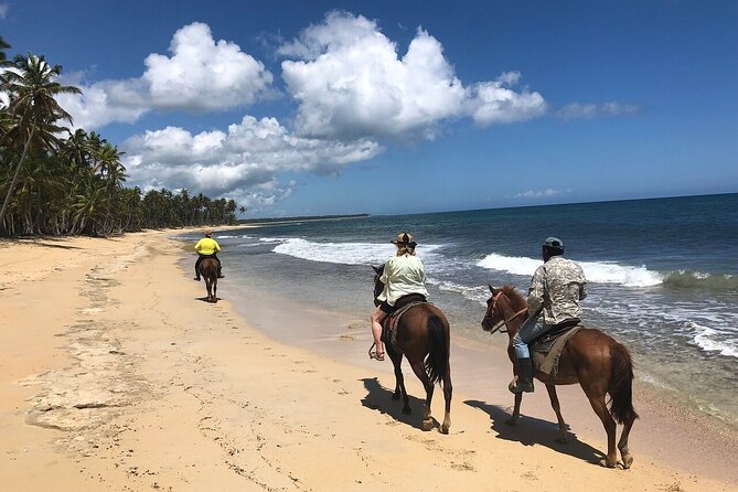 Horseback Riding Adventure to Macao Alto Beaches in Punta Cana - Before You Mount: Safety Gear and Riding Basics