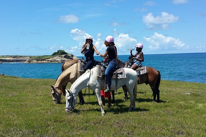 Horseback Riding Adventure Tour in St. Lucia - Key Things You’ll Notice on This Gros Islet Horse Ride