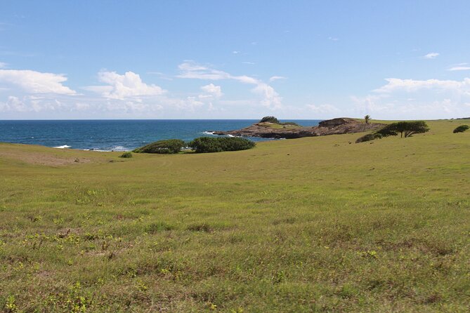 Horseback Riding Adventure Tour in St. Lucia - Canter or Swim: Your Choice on the Water’s Edge
