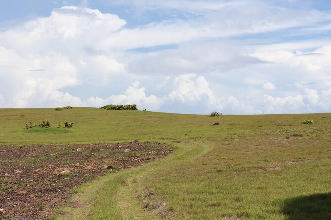 Horseback Riding Adventure Tour in St. Lucia - Private Excursion Value: What “Just Your Group” Really Means