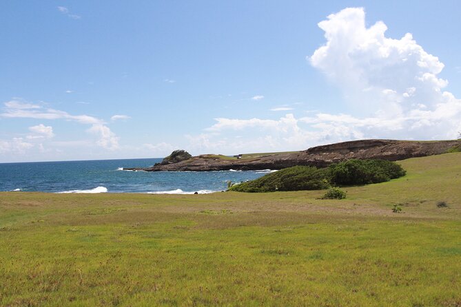 Horseback Riding Adventure Tour in St. Lucia - Price and Inclusions: Is $153.85 Good Value Here?