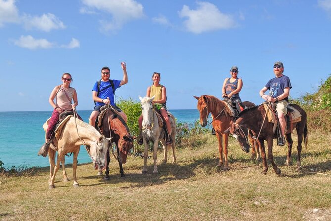 Horseback riding along Macao beach from Punta Cana - Key highlights (what makes it worth a look)