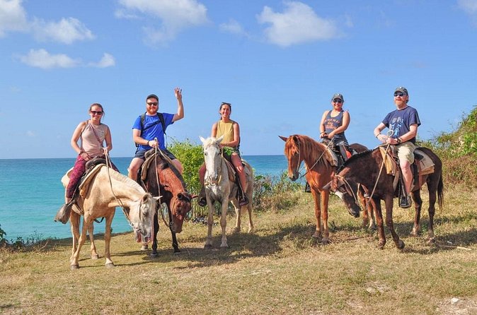 Horseback riding along Macao beach from Punta Cana - The $65 Price Tag: What You’re Actually Buying