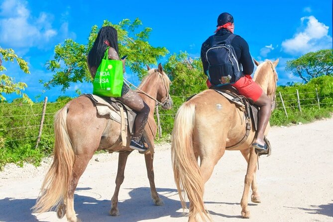 Horseback riding along Macao beach from Punta Cana - Who This Tour Suits Best (and who may want to skip)