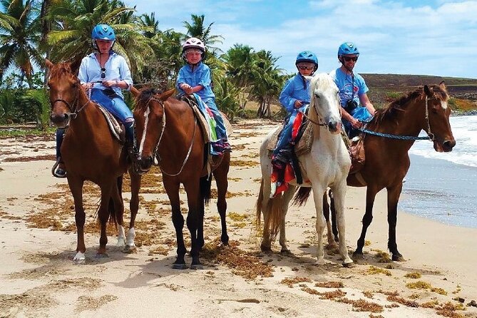 Horseback Riding along the Beach - Key Things to Know Before You Go