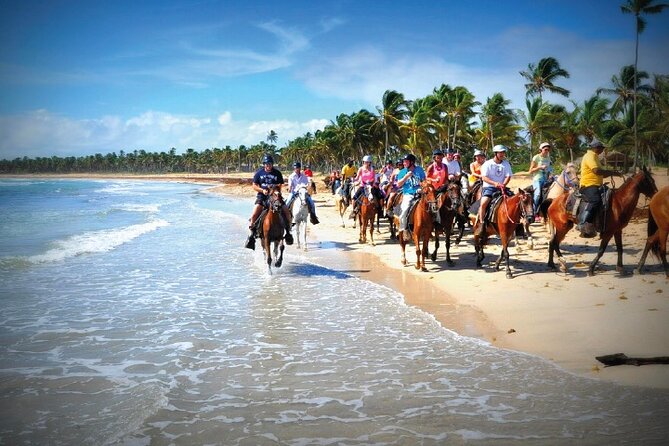 Horseback Riding along the Beach - Pickup and Air-Conditioned Rides: Why Logistics Matter Here