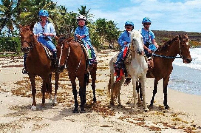 Horseback Riding along the Beach - What to Bring (and What to Expect) for a Beach Ride With Water