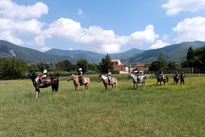 Horseback riding and aperitif 2 hours for beginners - Entering the Centro Ippico La Cartuja setup in Calci