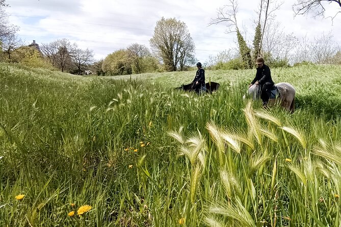 Horseback riding and aperitif 2 hours for beginners - Pickup, meeting point, and the practical logistics that trip people up