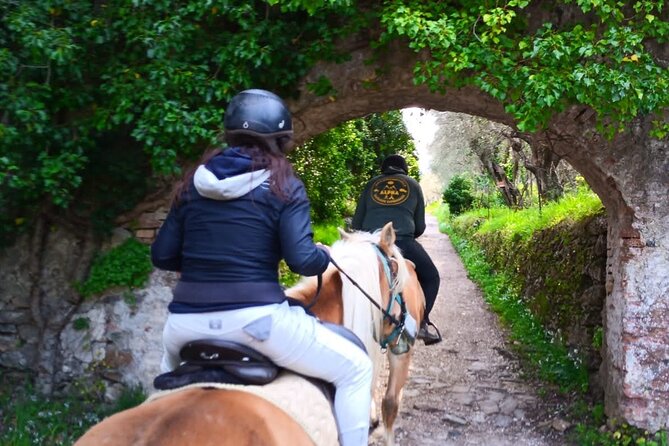 Horseback riding and aperitif 2 hours for beginners - What to wear: long trousers, tennis shoes, and comfort rules