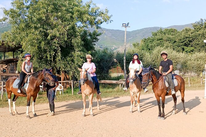 Horseback riding and aperitif 2 hours for beginners - English guidance and easy pace for first-timers