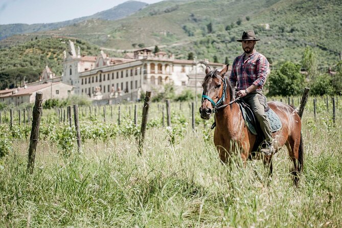 Horseback riding and aperitif 2 hours for beginners - How the beginner lesson actually helps you ride