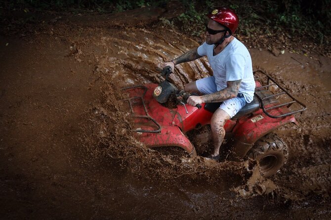 Horseback riding and ATV in the jungle, Ziplines, Cenote & Lunch - Horseback Riding in the Jungle: Great Setting, Mixed Expectations