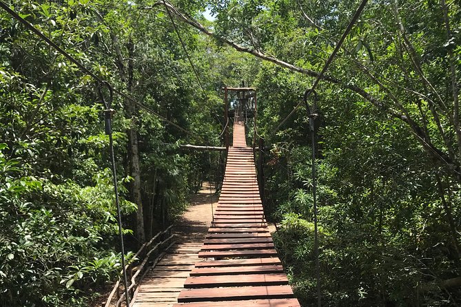 Horseback riding and ATV in the jungle, Ziplines, Cenote & Lunch - Lunch and Snacks: Hydration That Actually Helps