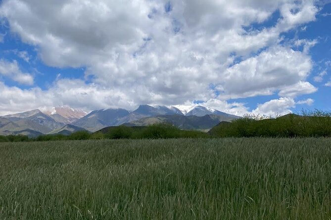 Horseback riding and barbecue in a private ranch - La Carrera, Mendoza - La Carrera Valley and El Pico Palma: why this ranch day feels special at altitude