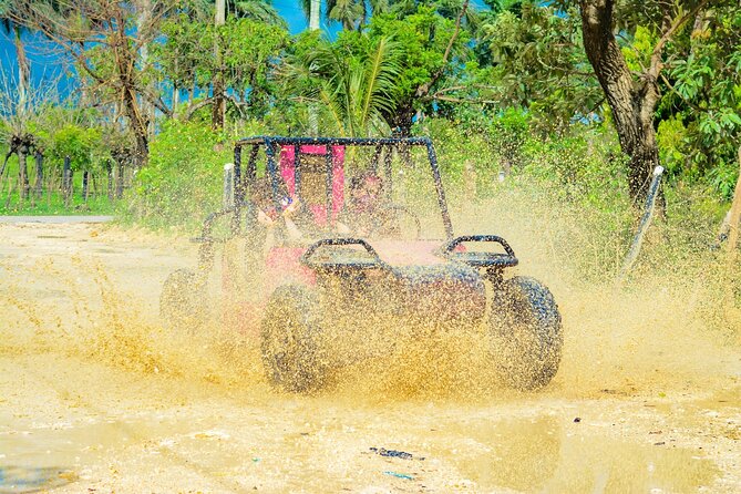 Horseback Riding and Buggy and Macau Cave and Beach Tour - What’s Included (and What You’ll Need to Plan Around)