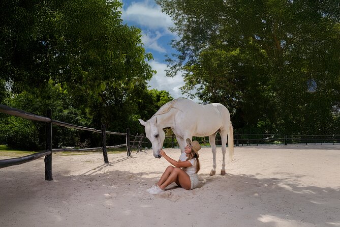 Horseback Riding and Cenote Swim from Cancun or Playa del Carmen - The jungle ride: not just scenery, real info