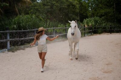 Horseback Riding and Cenote Swim from Cancun or Playa del Carmen - Rancho Bonanza and the rescue-horse approach