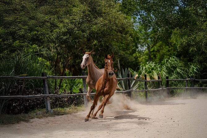 Horseback Riding and Cenote Swim from Cancun or Playa del Carmen - What to pack so you’re comfortable in the moment