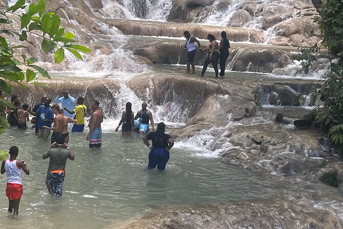 Horseback Riding and Swimming then Dunn's River Falls - Driver and Guide Service: Where This Tour Really Shines