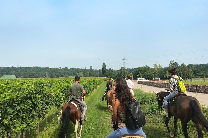 Horseback riding and wine tasting - Key highlights worth planning for