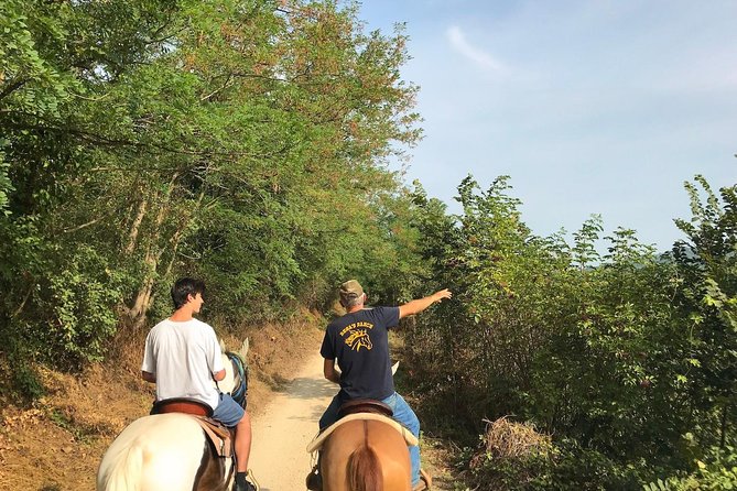 Horseback riding and wine tasting - Horse-and-Wine Day Overview: What You’re Really Buying