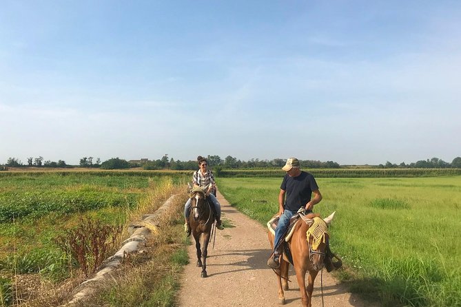 Horseback riding and wine tasting - Family Winery Visit: Cellar Smell, Old Barrels, and Technique