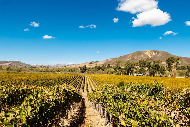 Horseback Riding and Wine Tasting Tour - What Makes the Guides (and Their Relationships) Matter