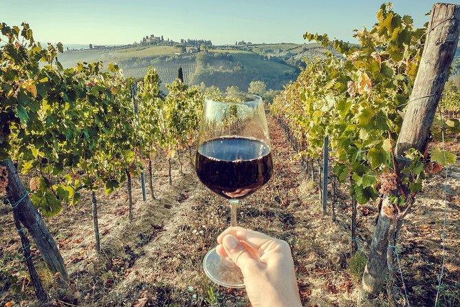 Horseback Riding and Wine Tasting Tour - Door-to-Door Convenience and Included Drinks: Real Value at $510