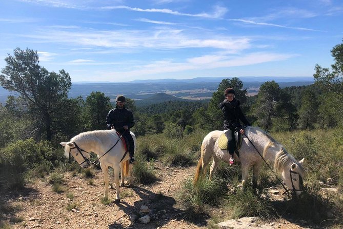 Horseback riding and wine tour (private tour) - Key Highlights You’ll Feel Day-of