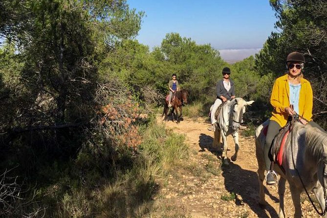 Horseback riding and wine tour (private tour) - Price and Value: Is $180.62 Worth It?