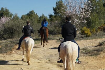 Horseback riding and wine tour (private tour) - Weather Is Part of the Plan (So Build Flexibility In)