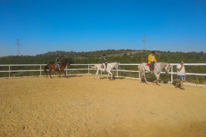 Horseback riding and wine tour (private tour) - What to Wear and Bring for a Smooth Ride + Tasting