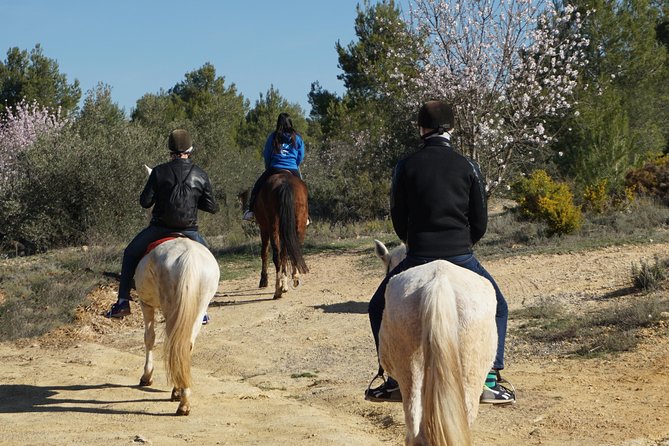 Horseback riding and wine tour (private tour) - Weather Is Part of the Plan (So Build Flexibility In)