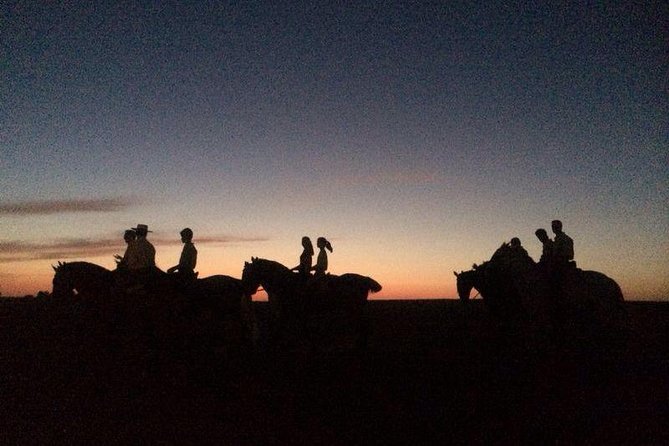 Horseback riding around Doñana National Park - Key points to know before you book